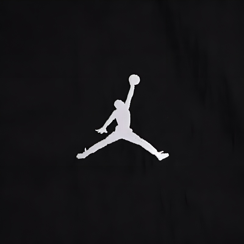 Jordan Air logo