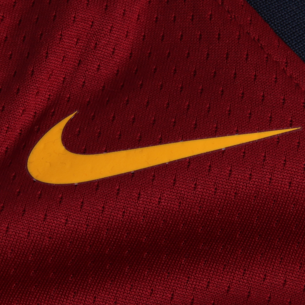 Nike NBA Jersey icon edition SW 23