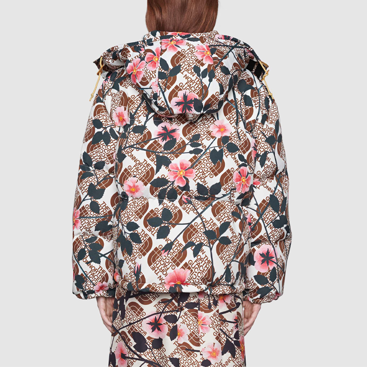 GUCCI x the north face