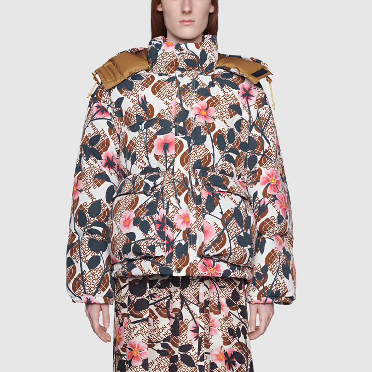 GUCCI x the north face