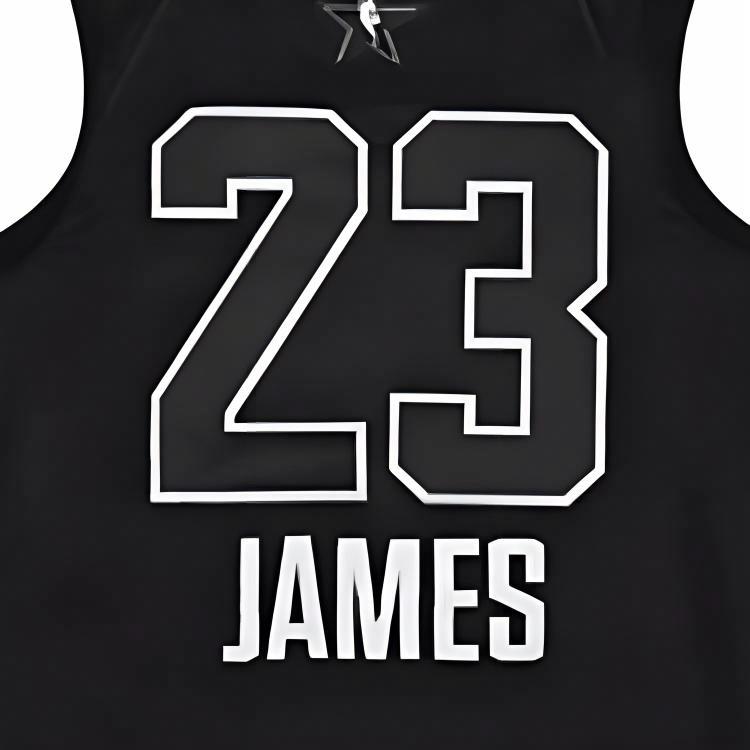 Jordan NBA LeBron James All-Star Edition Authentic Jersey AU