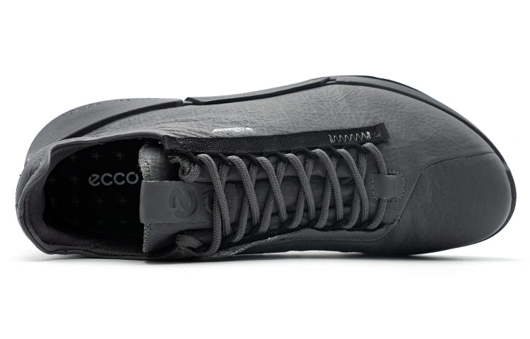ecco 2.0