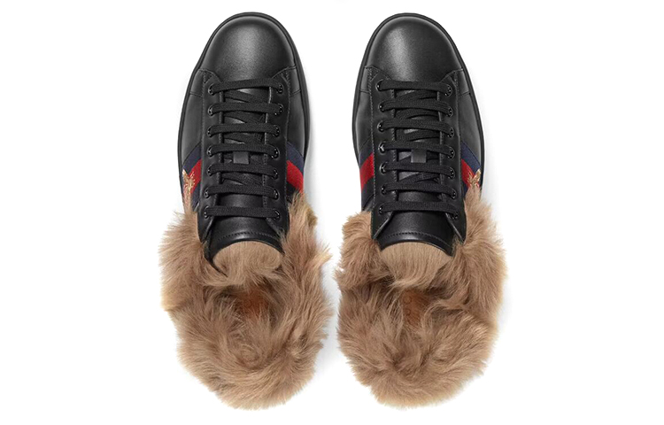 GUCCI ACE
