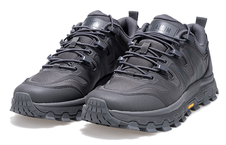 Palladium