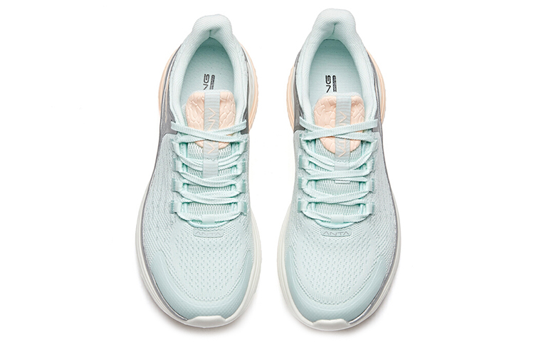 Anta
