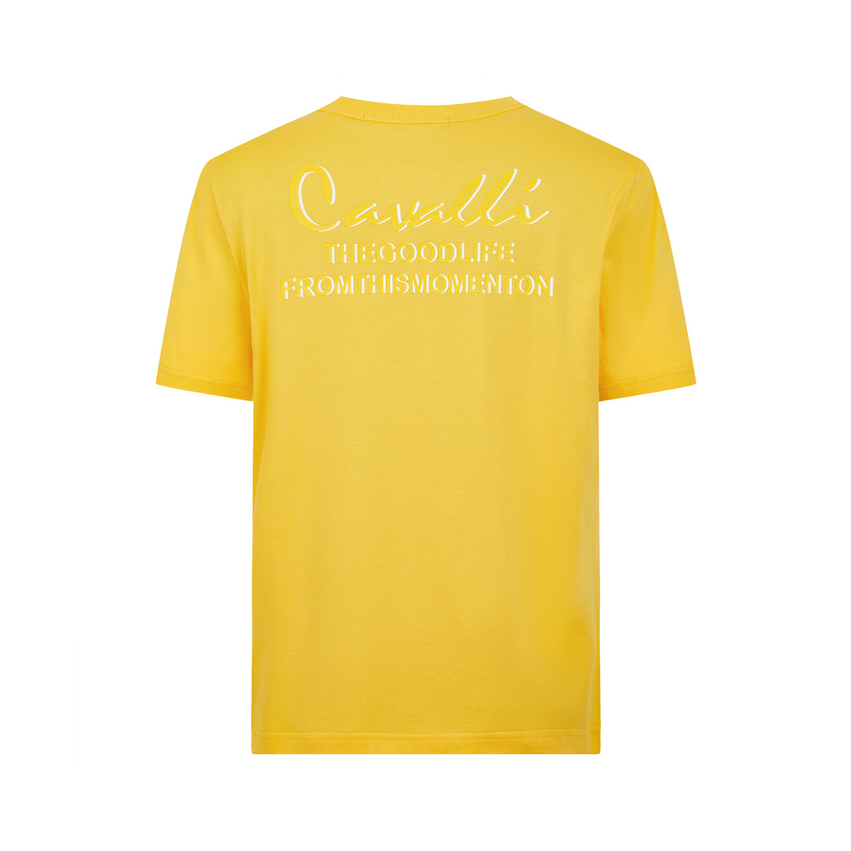 Cavalli Class T