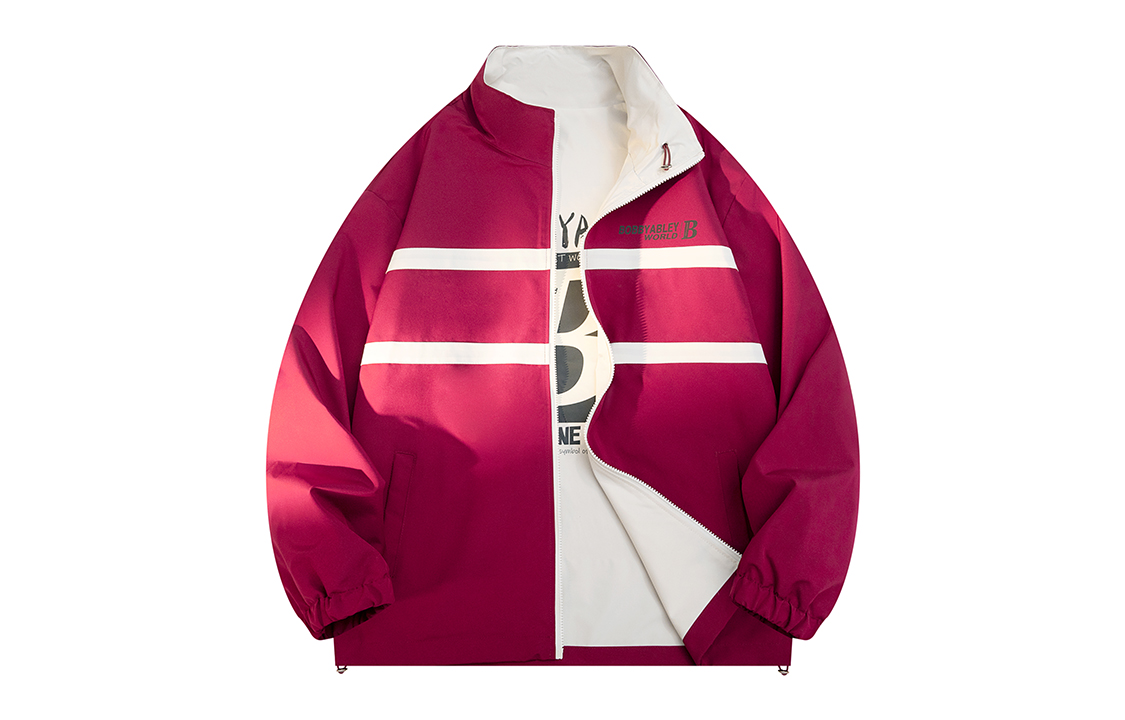 BOBBY ABLEY Logo