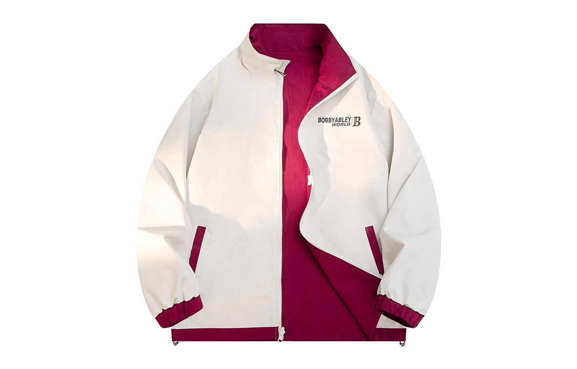 BOBBY ABLEY Logo