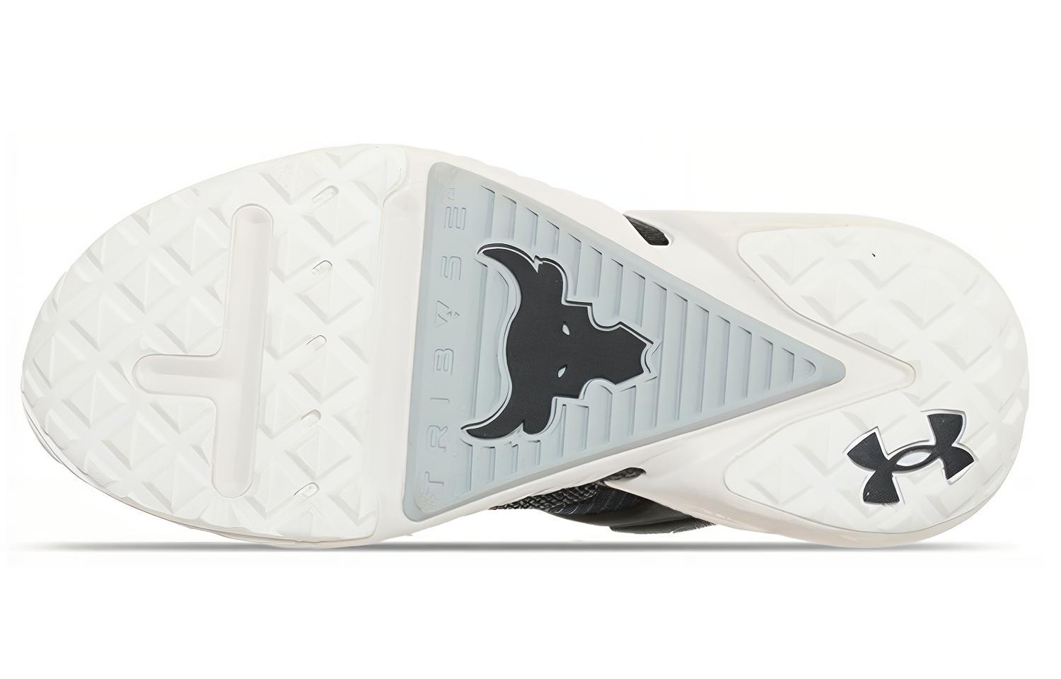 Under Armour Project Rock 4