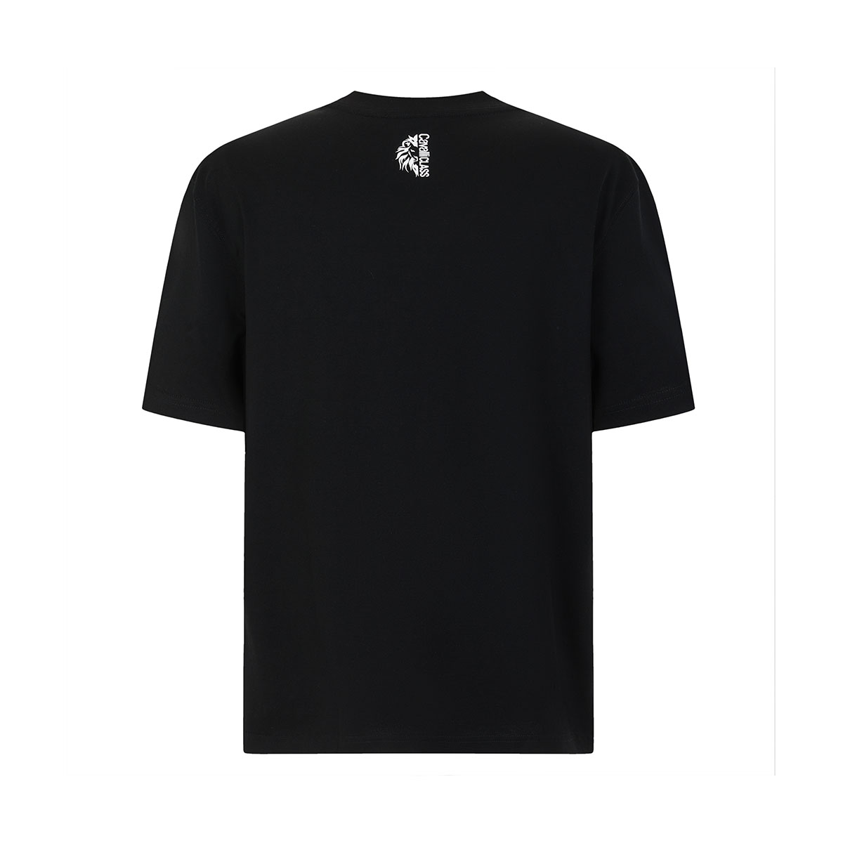 Cavalli Class T