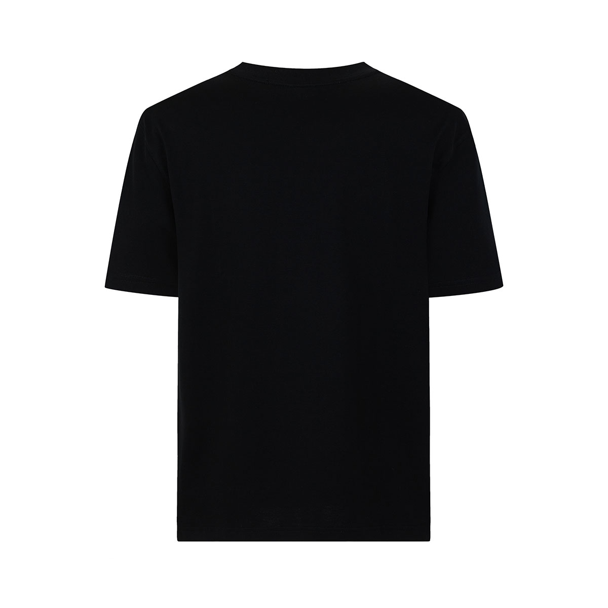 Cavalli Class T