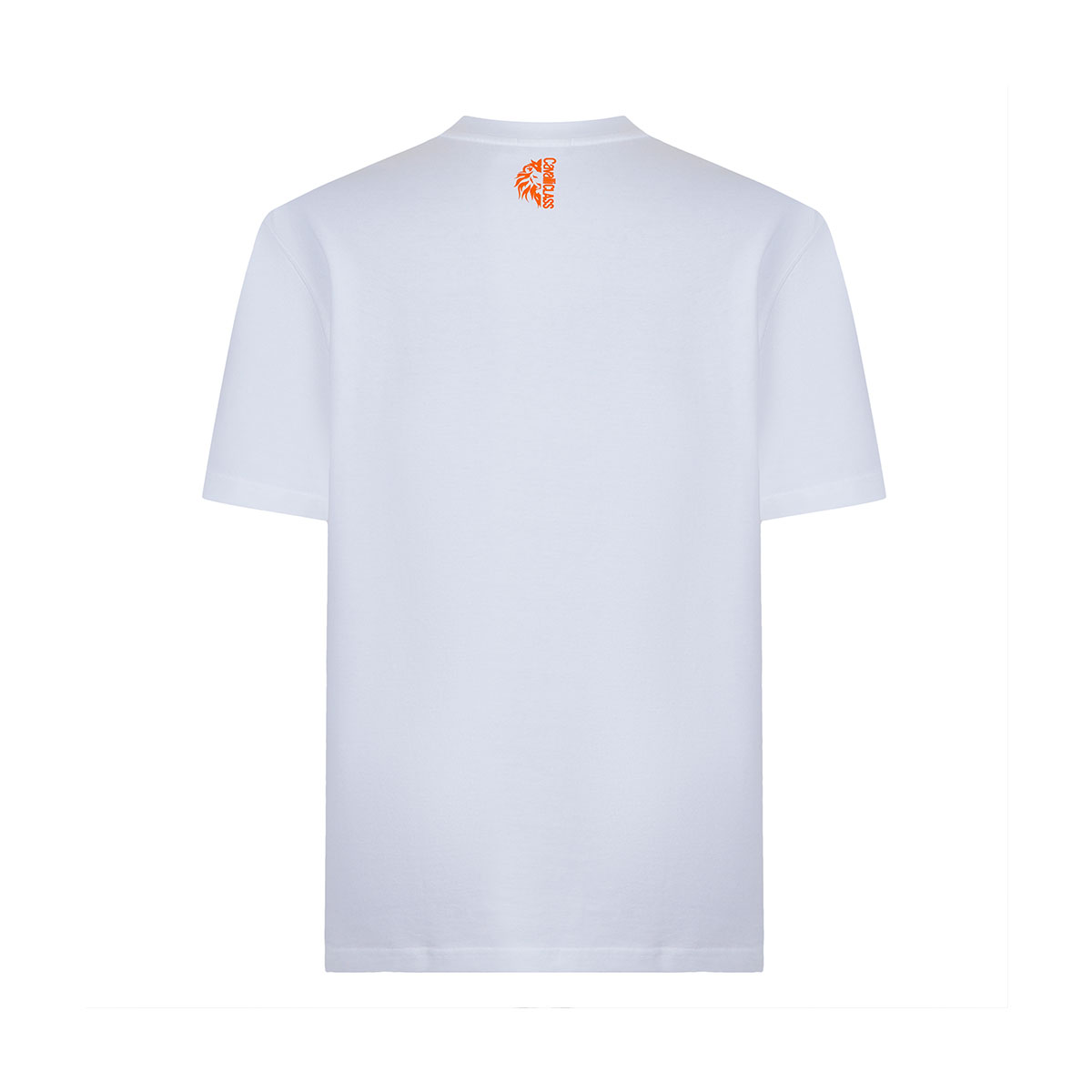 Cavalli Class T