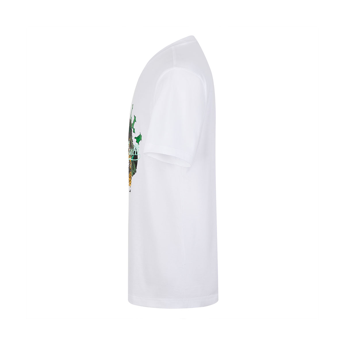 Cavalli Class T