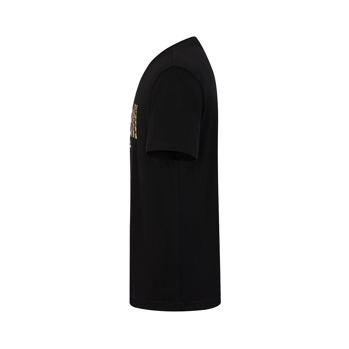 Cavalli Class LOGOT