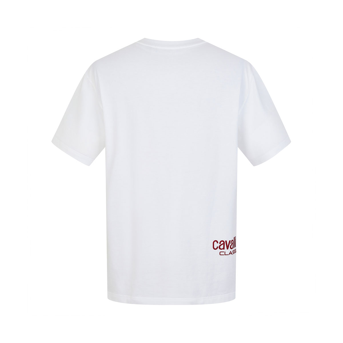 Cavalli Class T