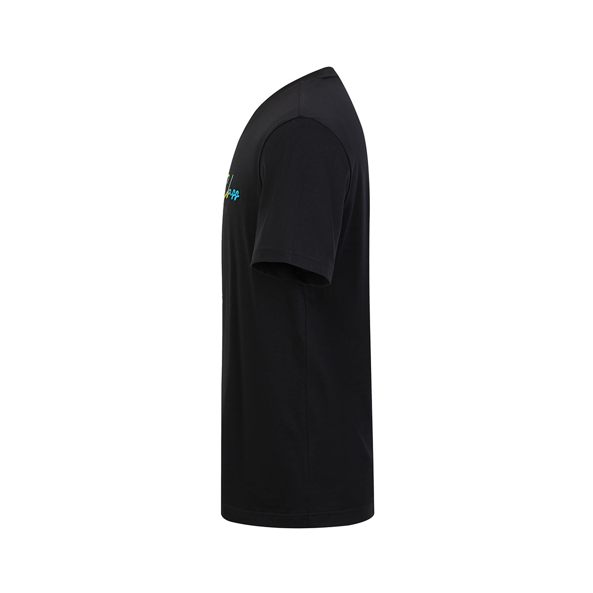 Cavalli Class T