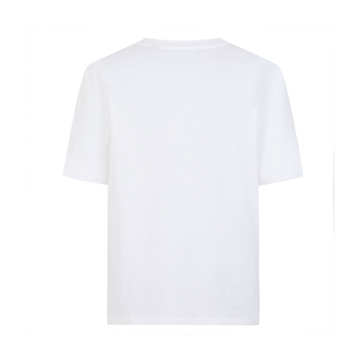 Cavalli Class T