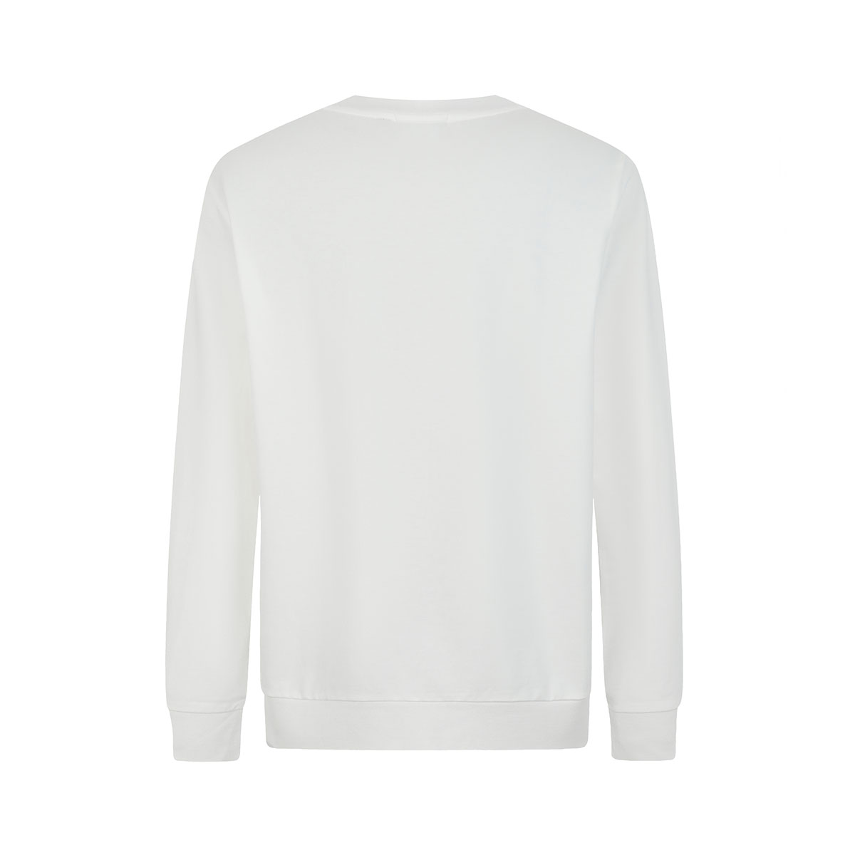 Cavalli Class T