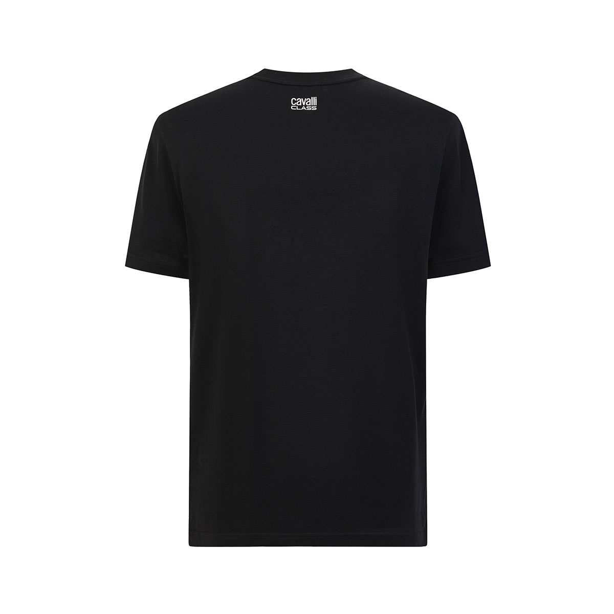 Cavalli Class T