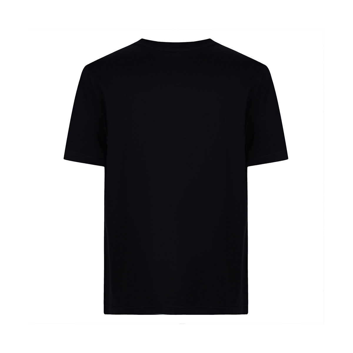 Cavalli Class T