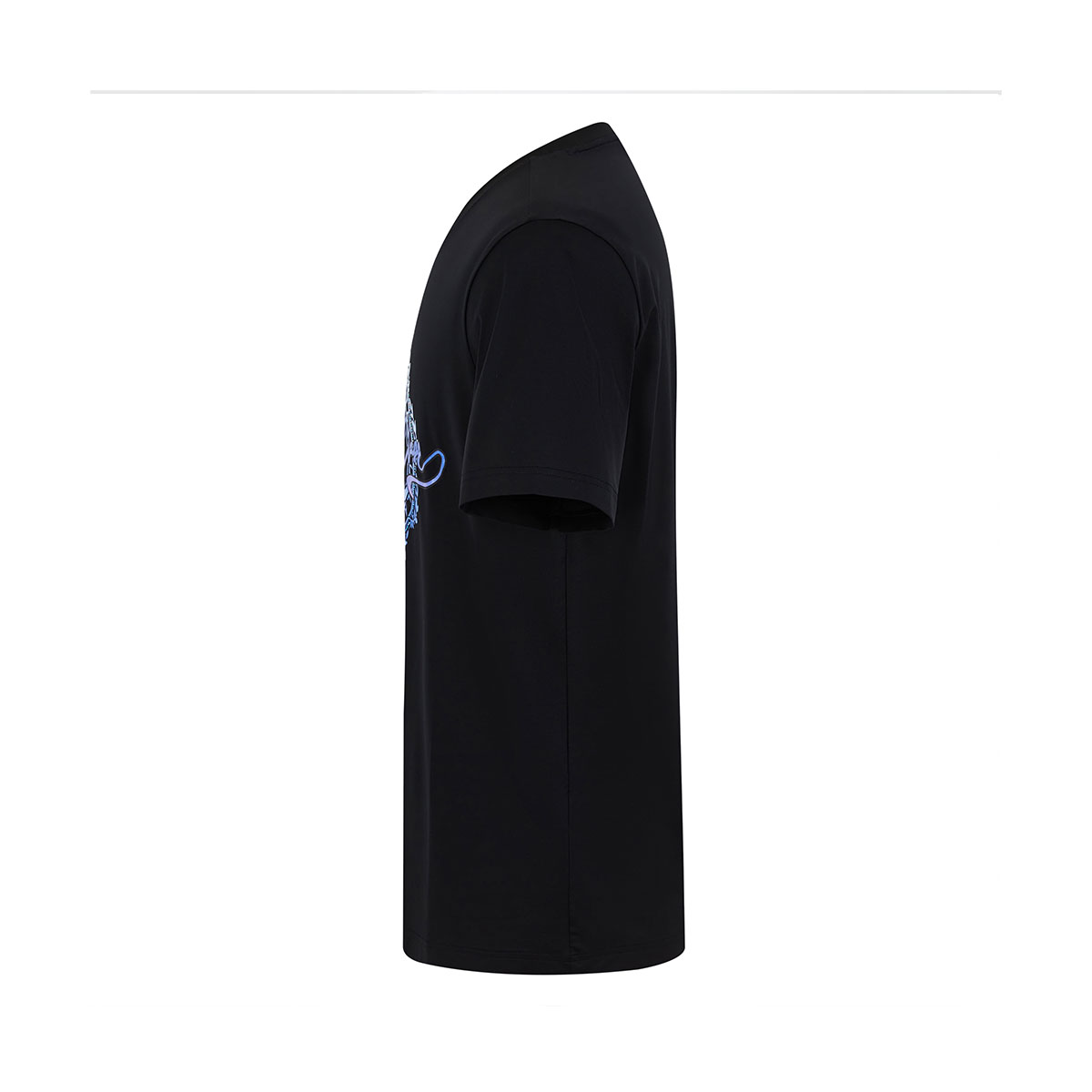 Cavalli Class T