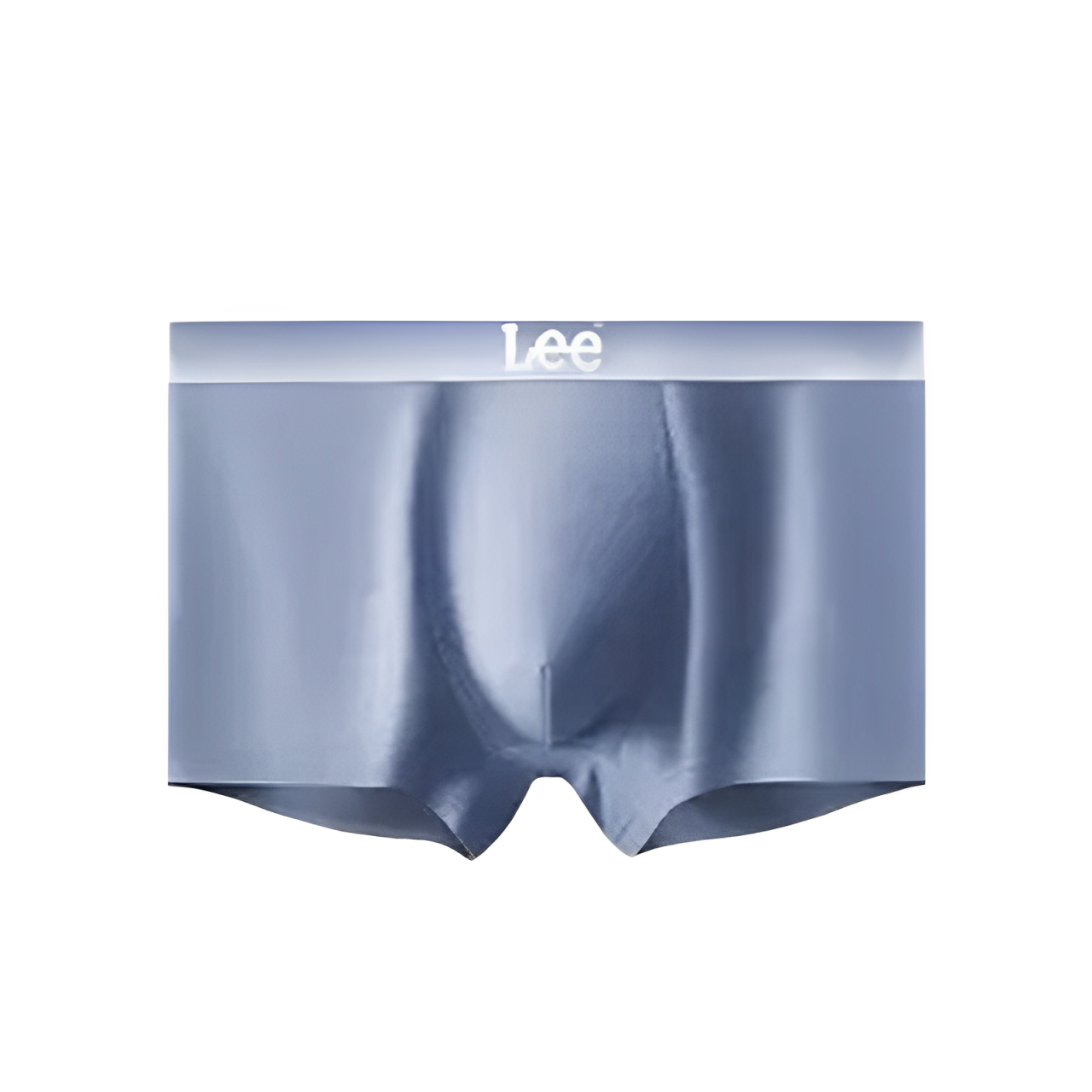 Lee 3