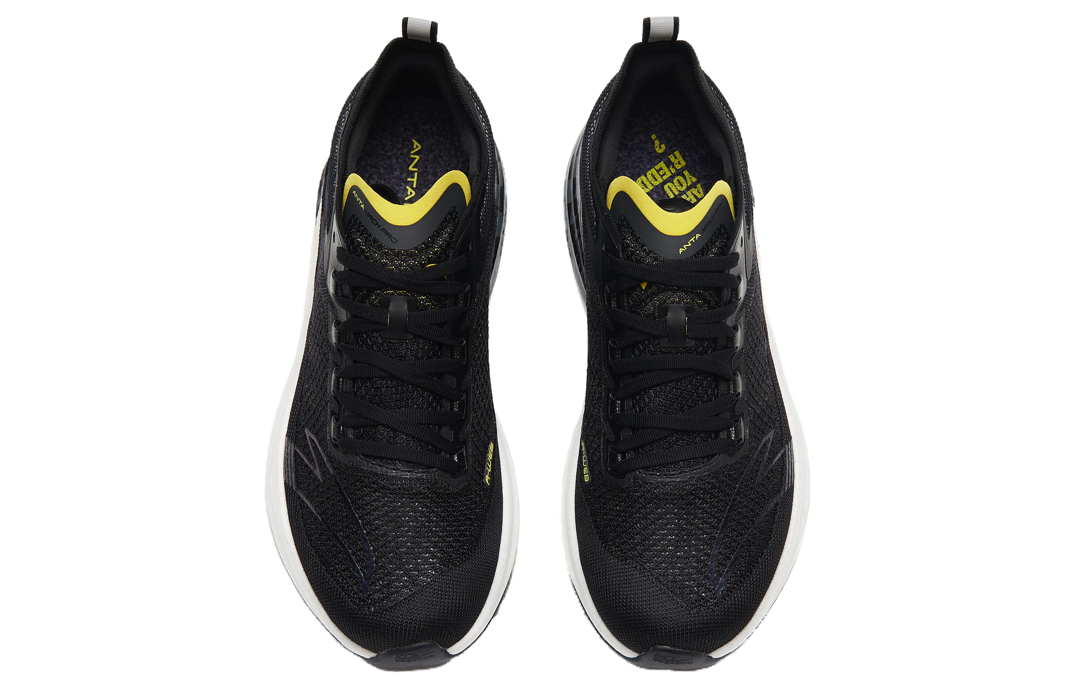 Anta Pro