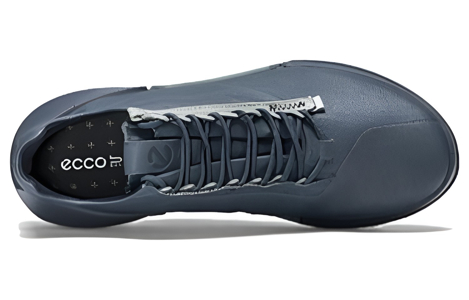 ecco 2.0