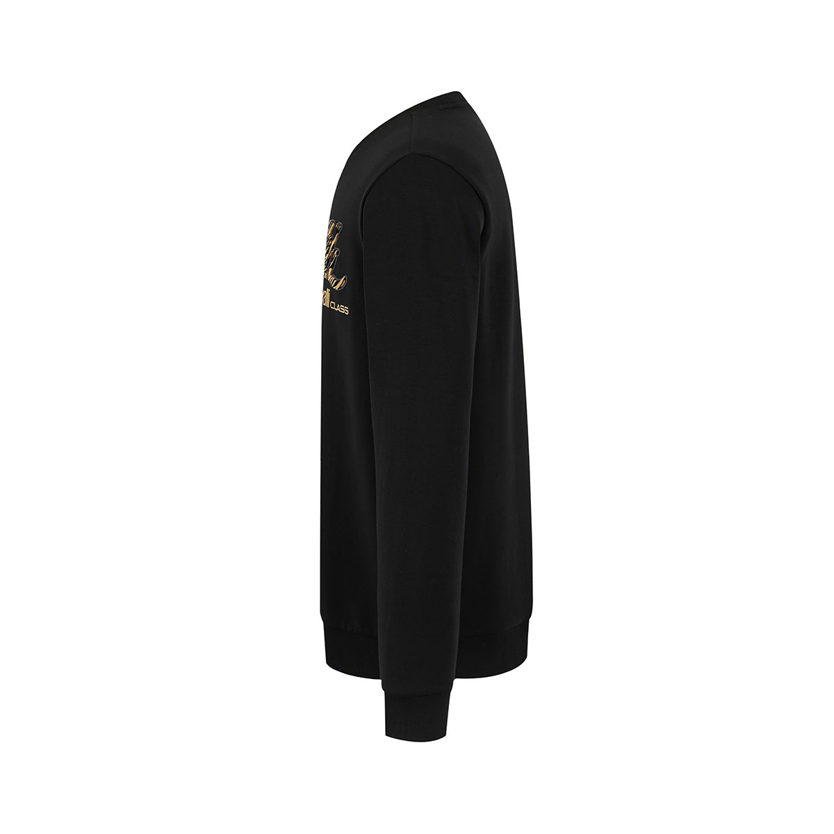 Cavalli Class T