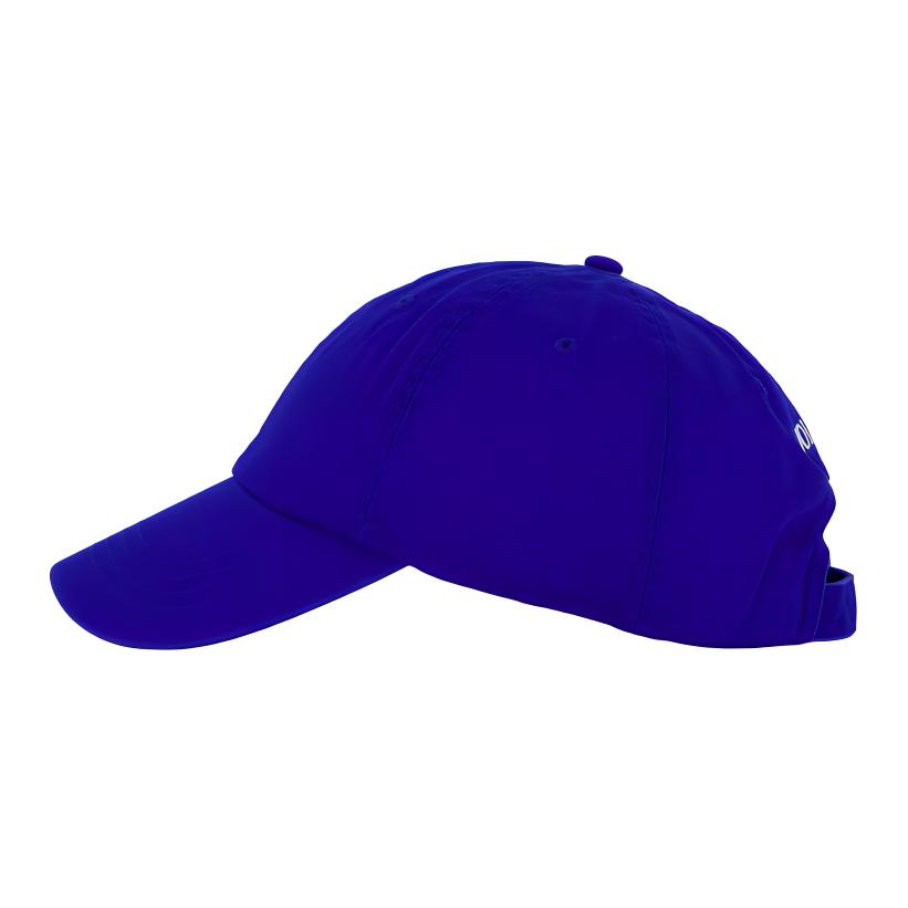 Polo Ralph Lauren Logo