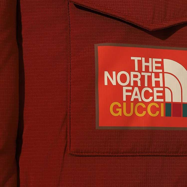 GUCCI x THE NORTH FACE
