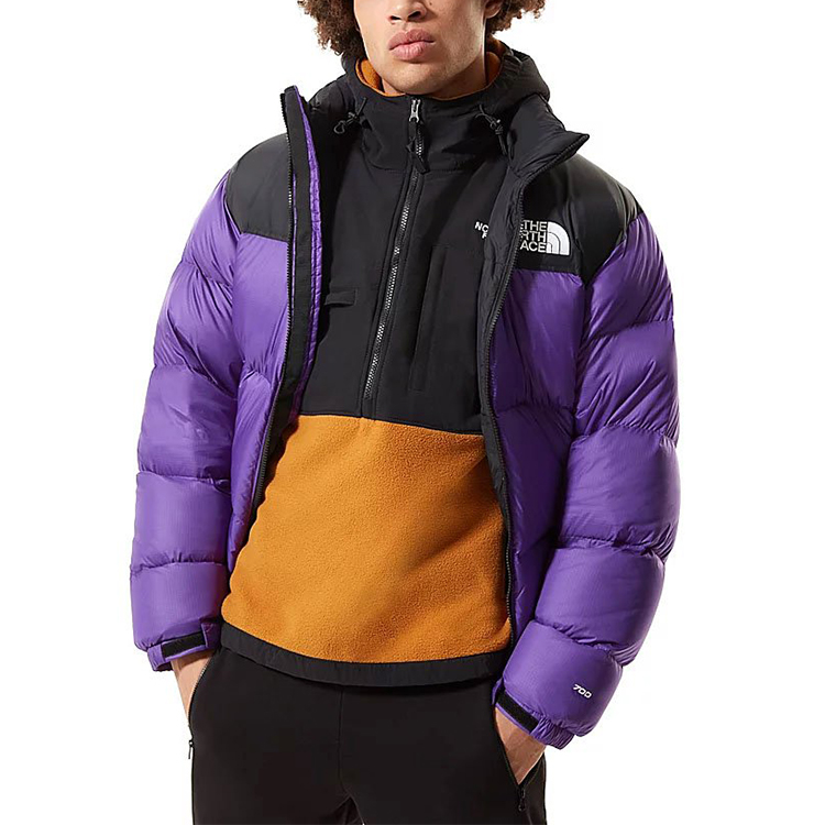 THE NORTH FACE 1996 Retro Nuptse 700