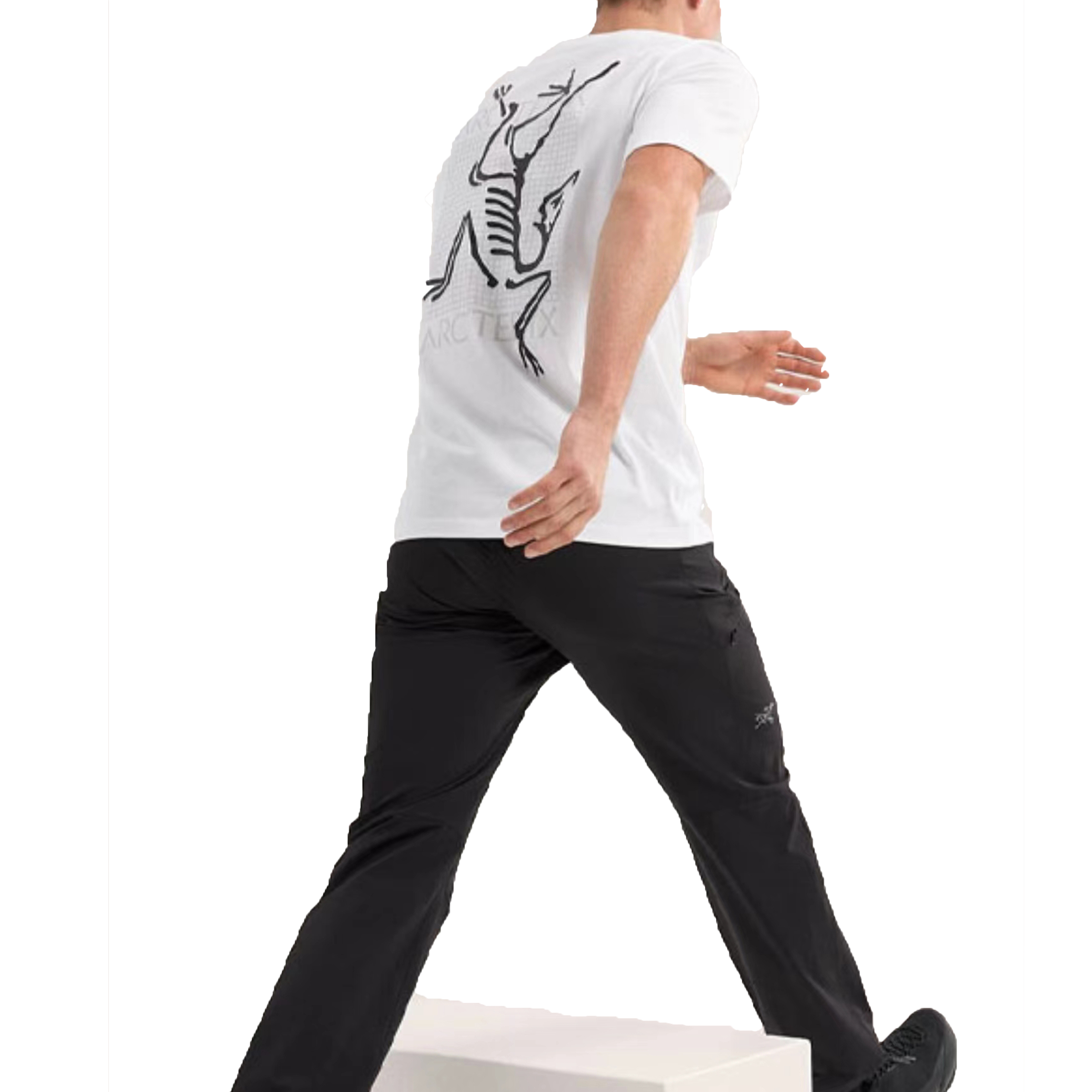 Arcteryx Multi Bird Logo Ss LogoT