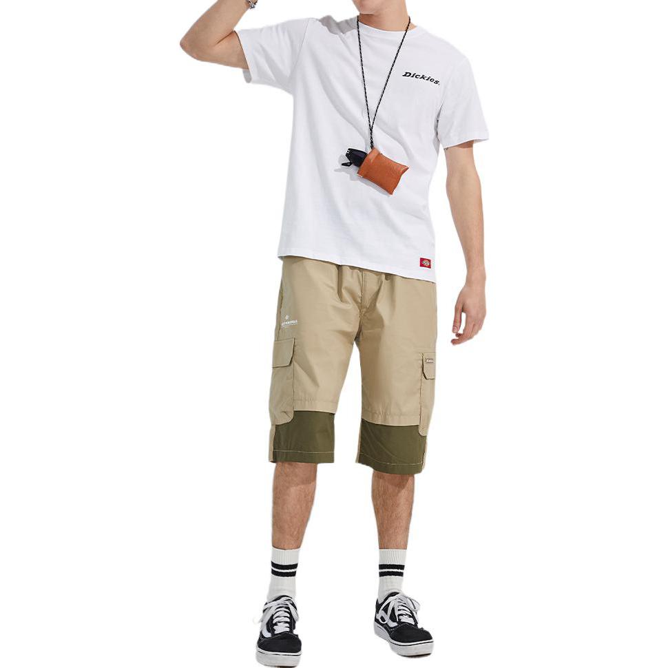 Dickies SS22 logoT