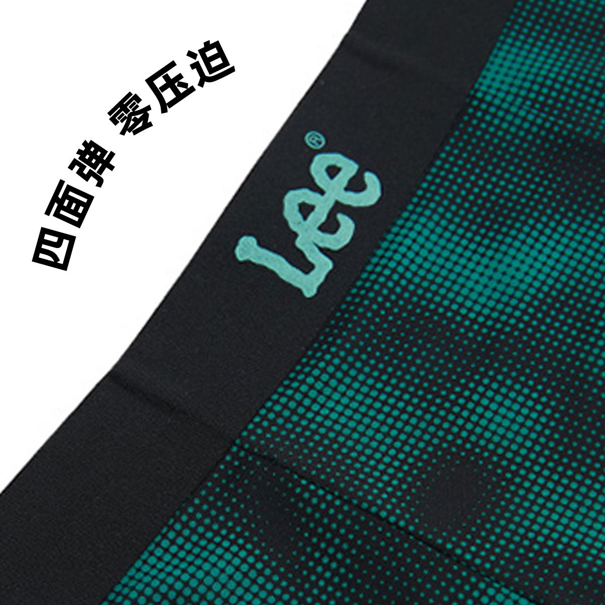 Lee Logo 4