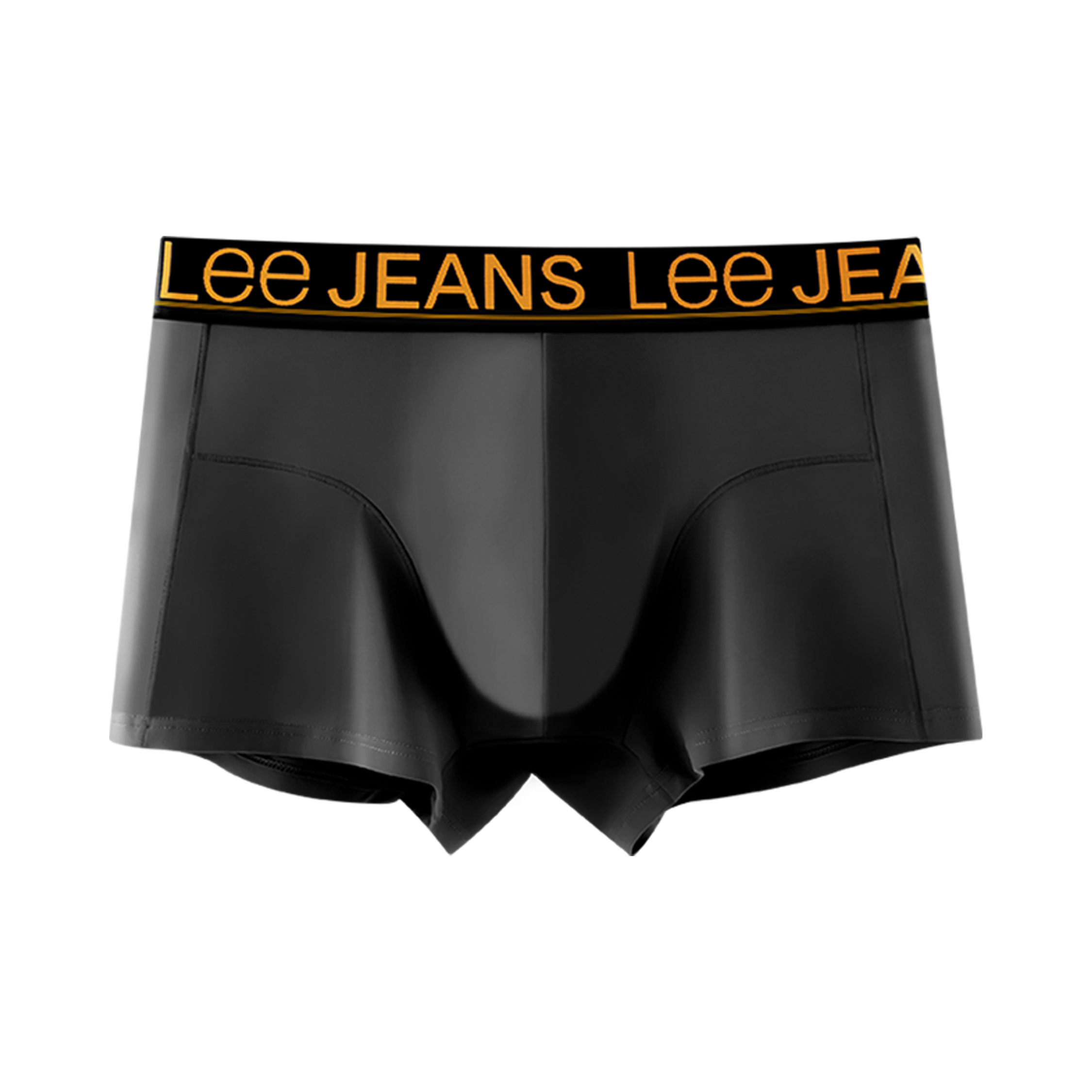 Lee Logo 1