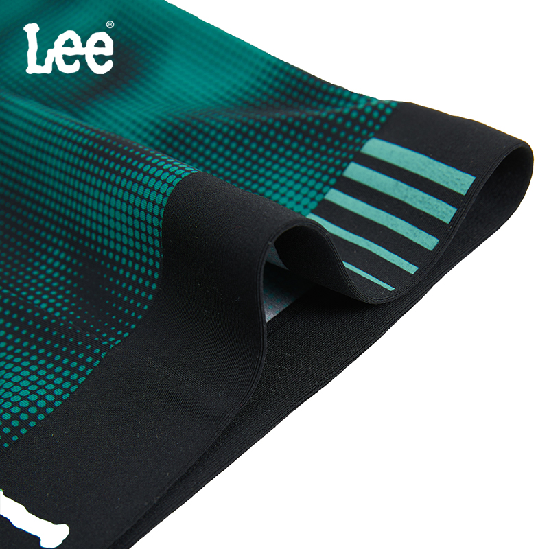 Lee 1