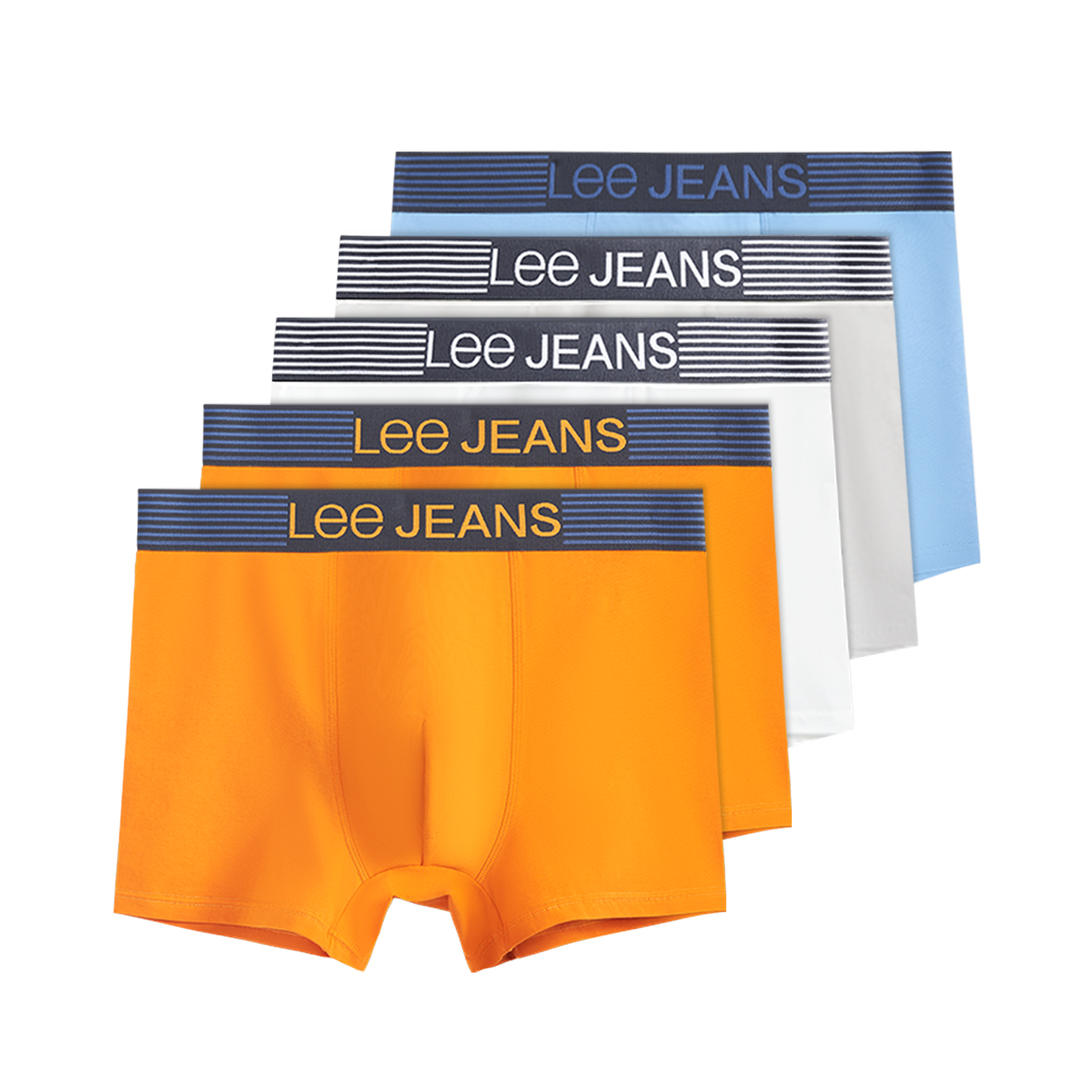 Lee 5