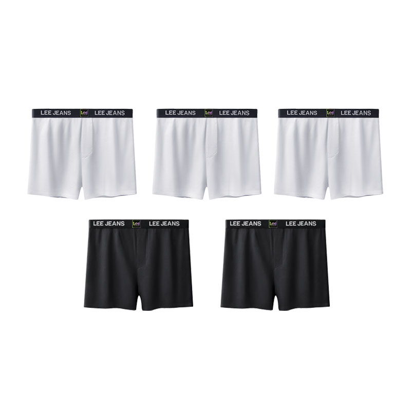 Lee 5