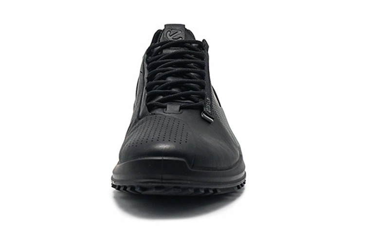 ecco 2.0