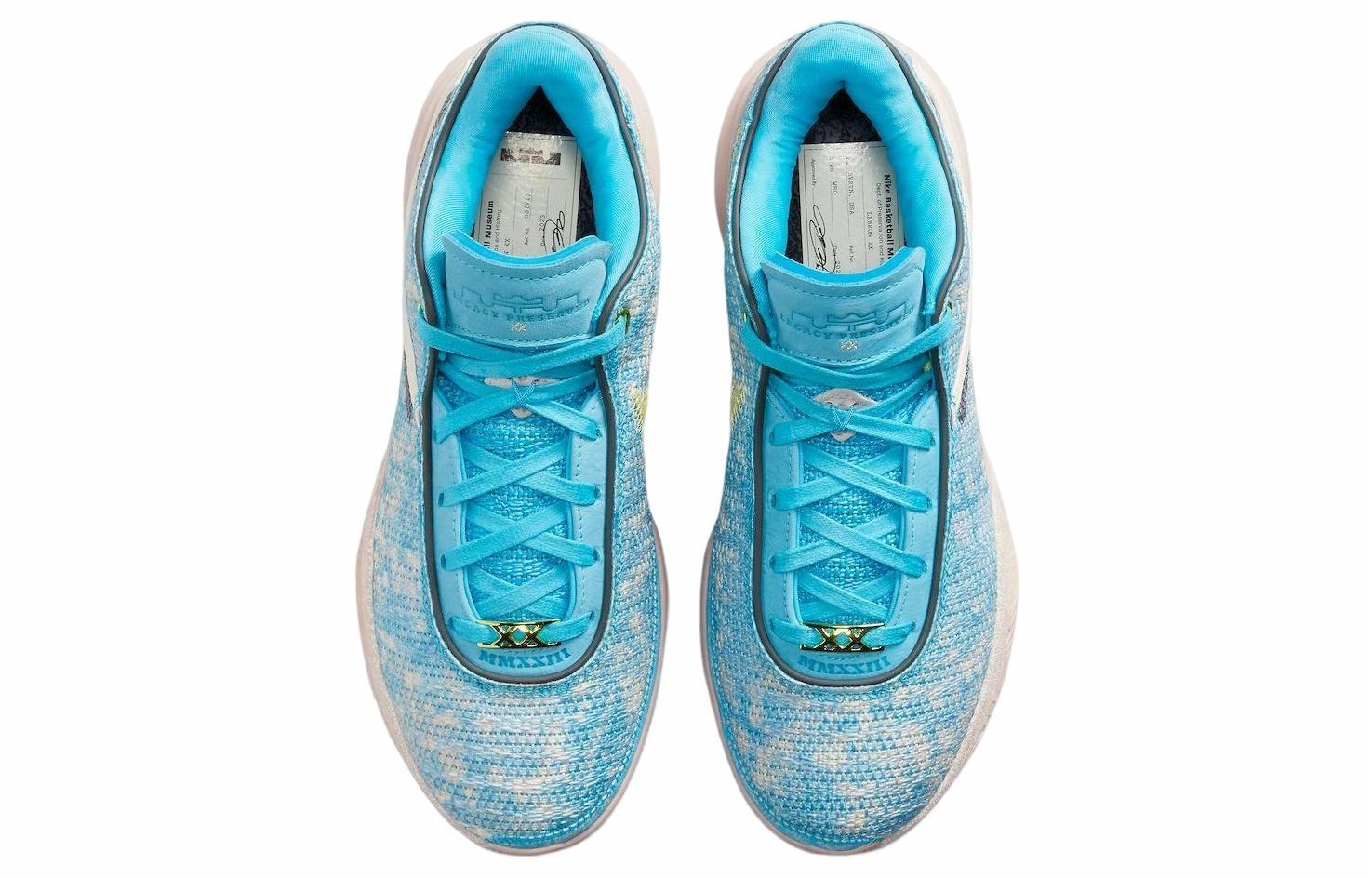 Nike LeBron 20 All-Star