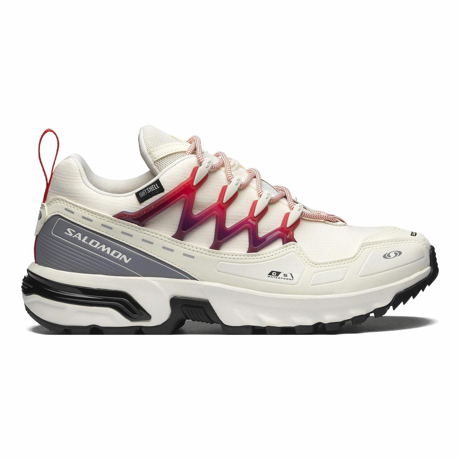 SALOMON ACS + CSWP