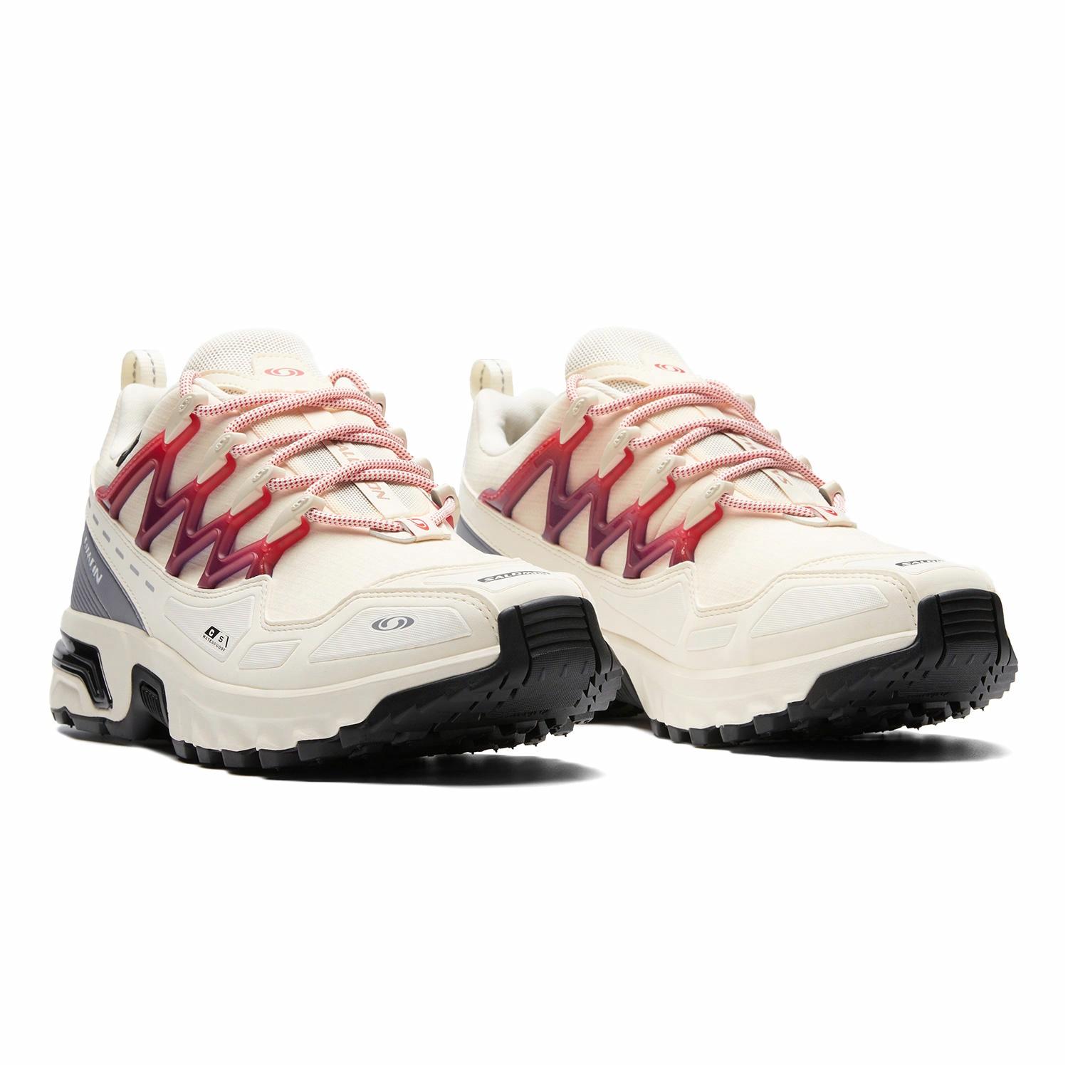 SALOMON ACS + CSWP