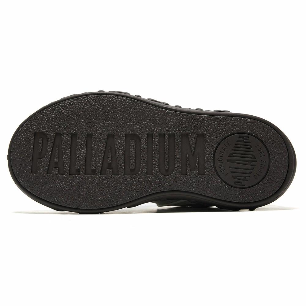 Palladium