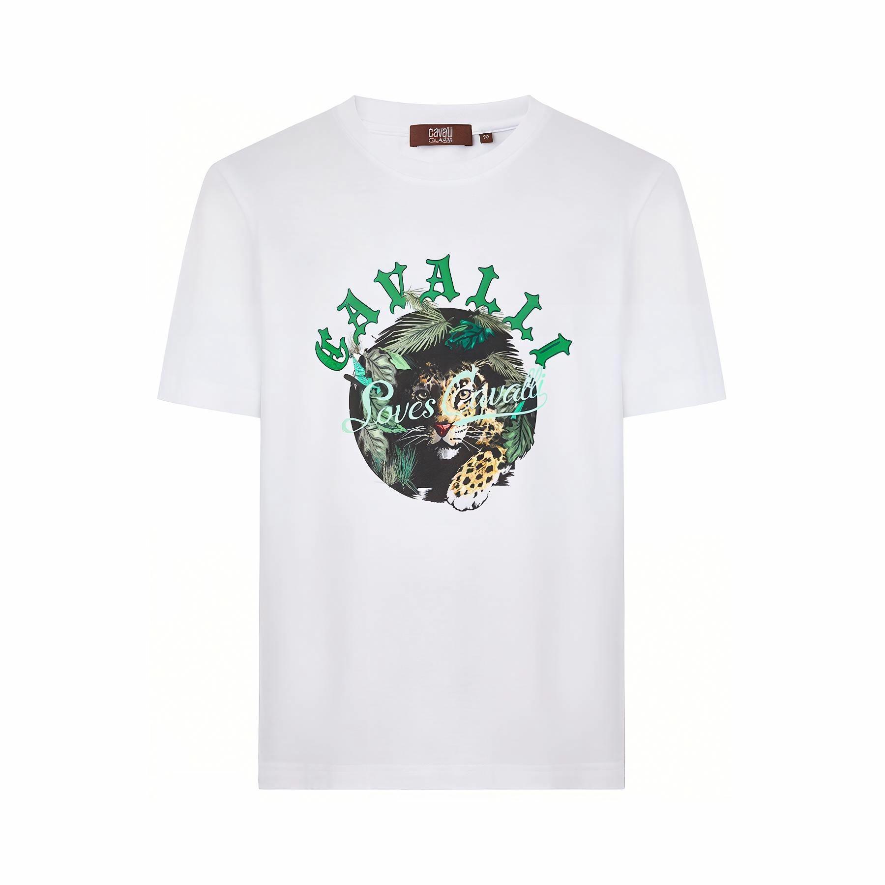 Cavalli Class T