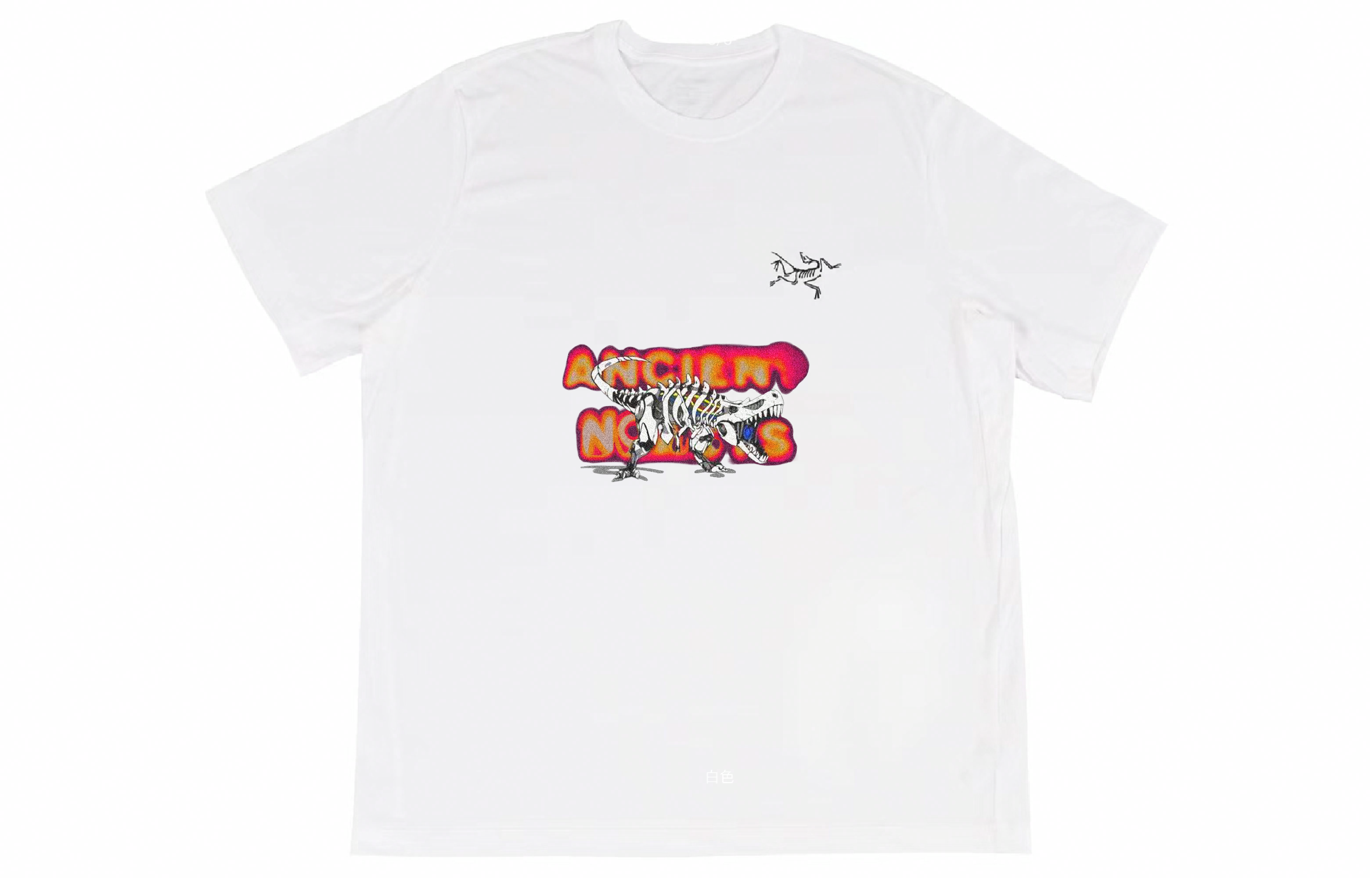 Arcteryx YXYY Multi Bird Logo Ss T