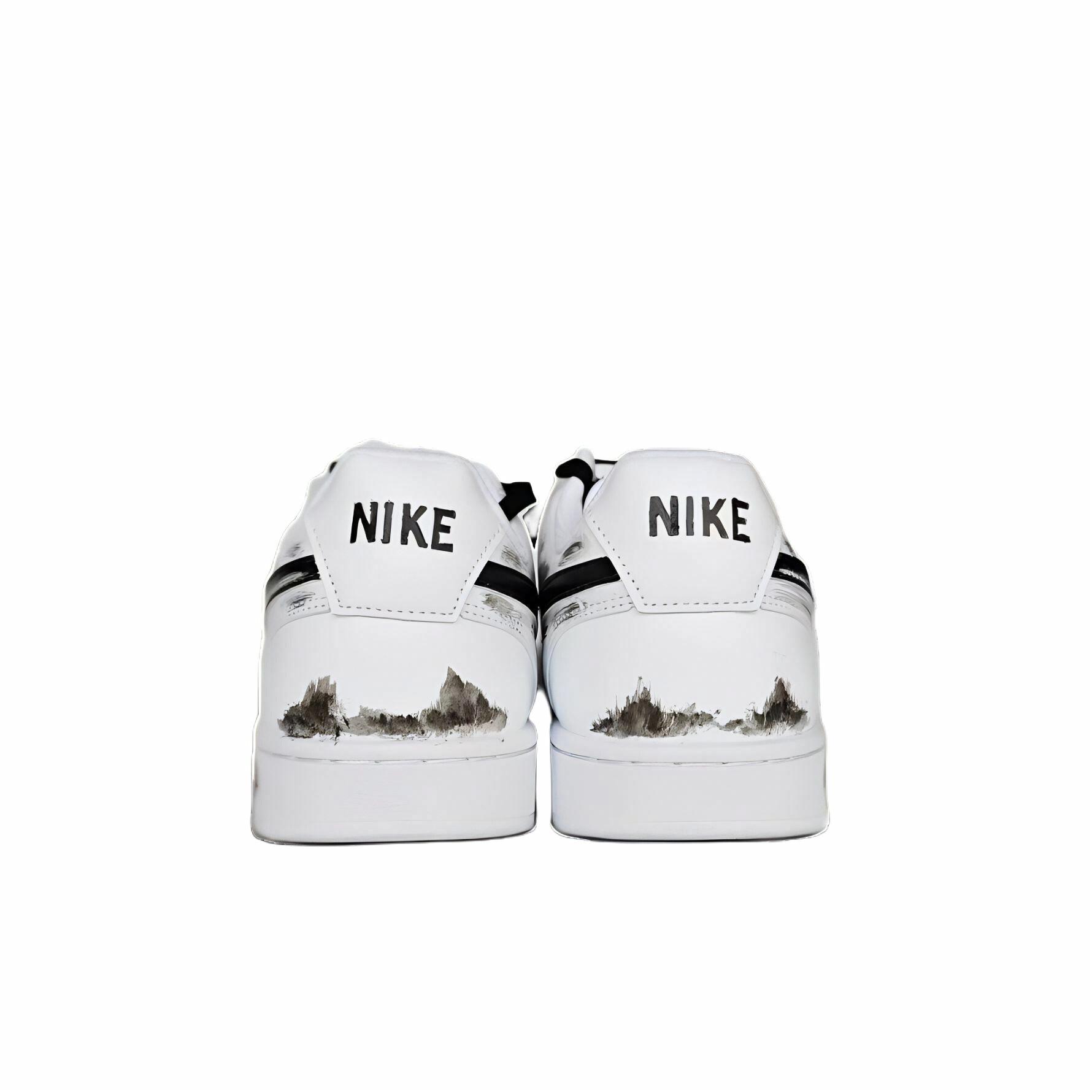 Nike Court Vision Low 1.0