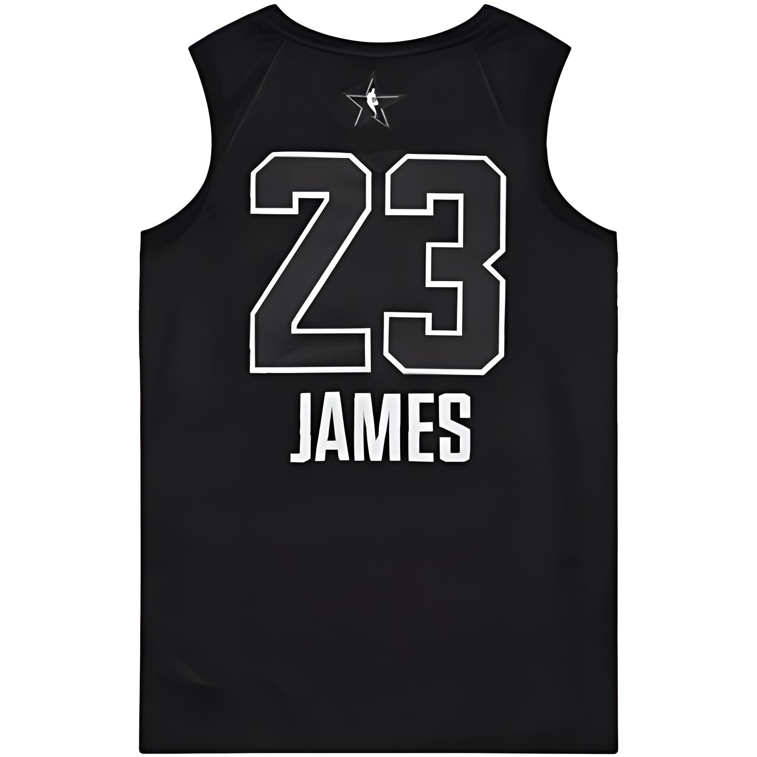 Jordan NBA LeBron James All-Star Edition Authentic Jersey AU