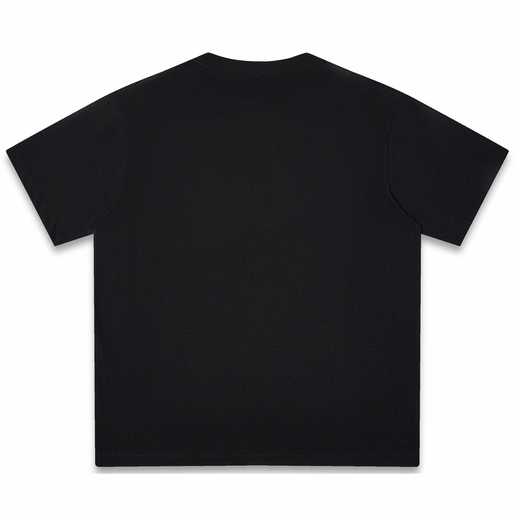 PAUL COSTELLOE T