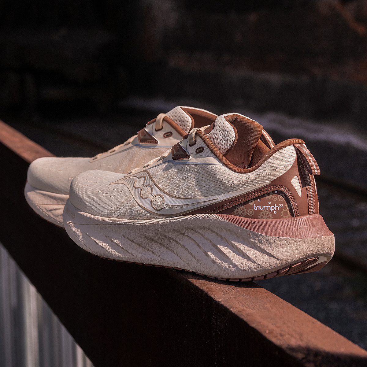 Saucony TRIUMPH 22